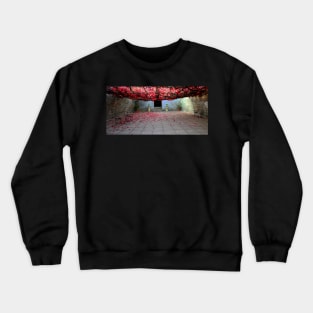 Vine covered courtyard Crewneck Sweatshirt